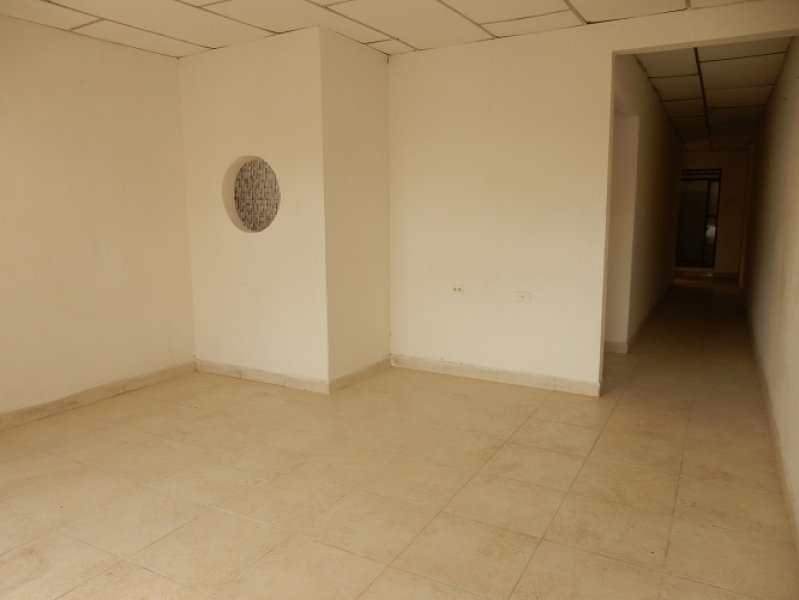 DSCN6520.JPG