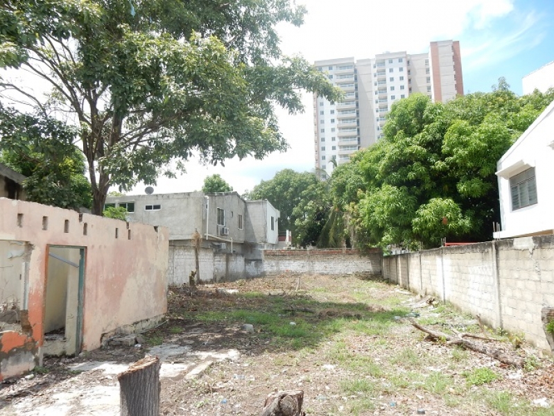 DSCN8306.JPG