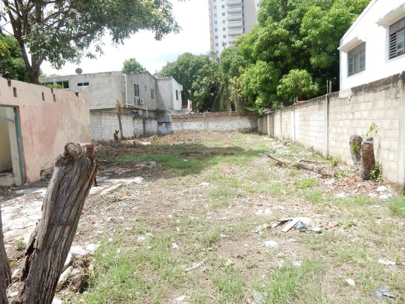 DSCN8307.JPG