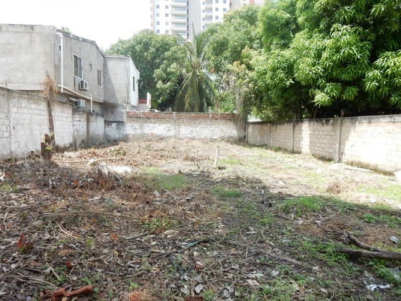 DSCN8308.JPG