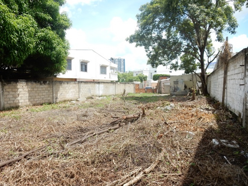 DSCN8310.JPG